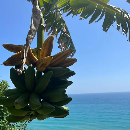 Casa Monnalisa - Calandre Sabbie Oro